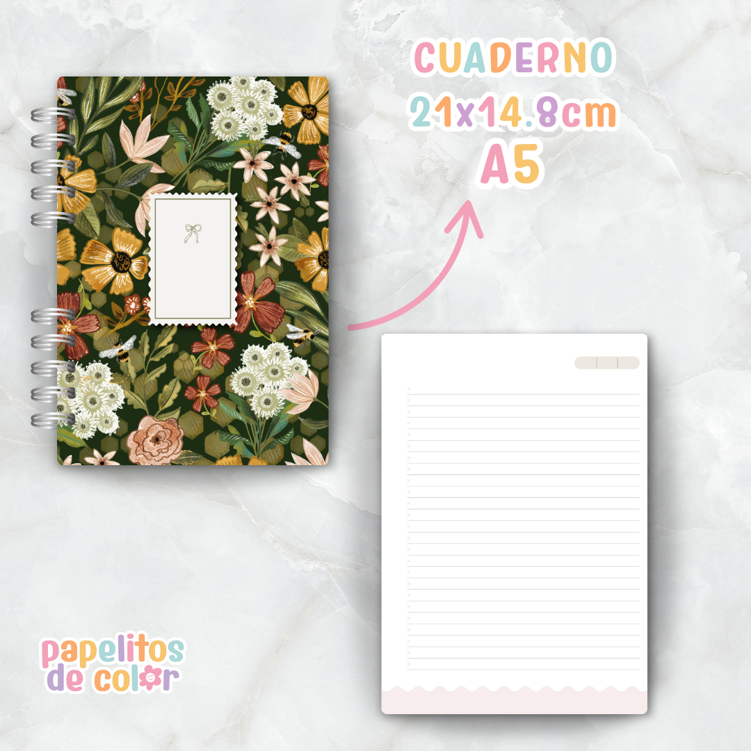 ✨Combo Luz✨
