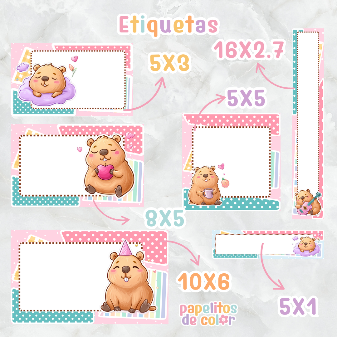 🦫 Combo Capibara Escolar🎒