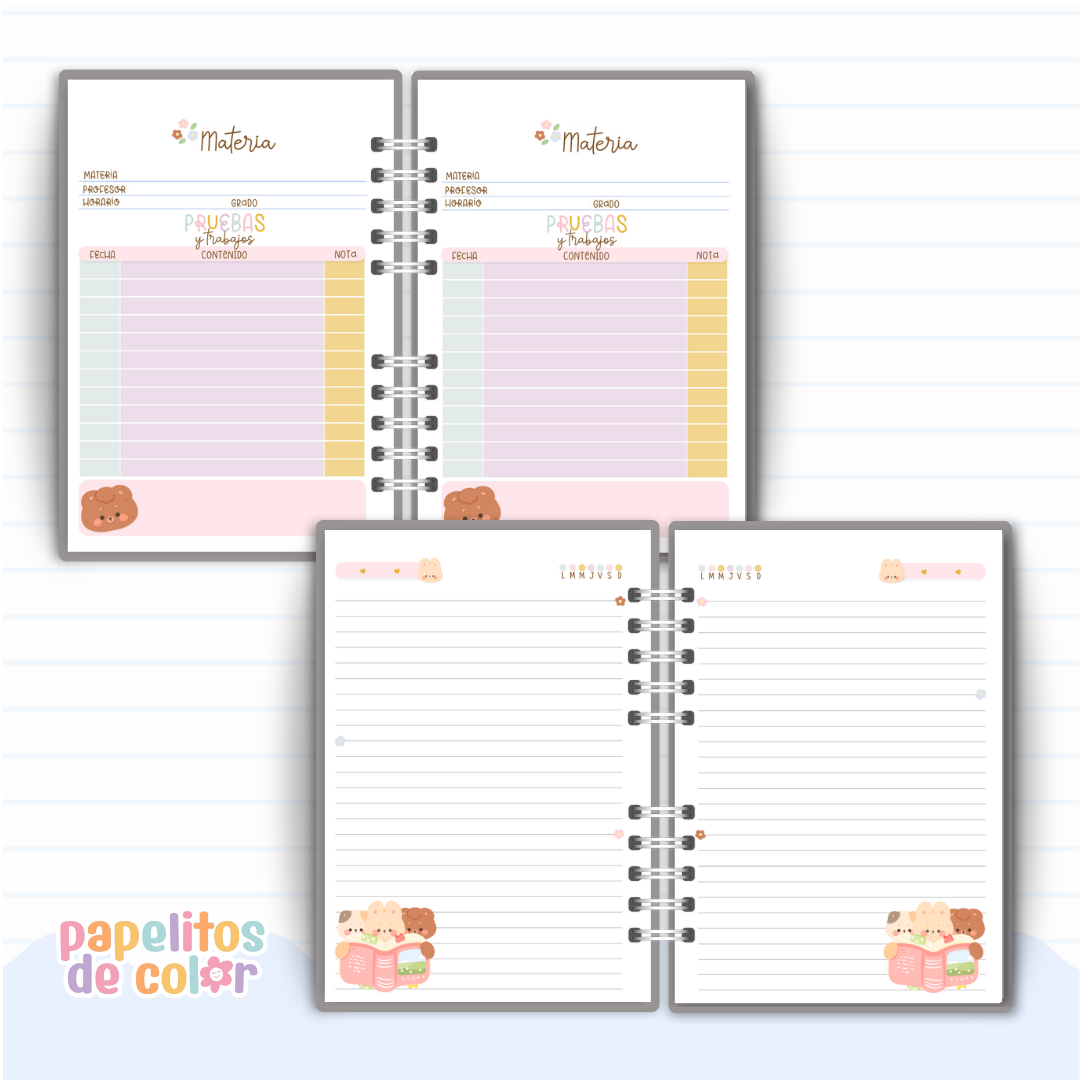🎀 Combo Cami 📚