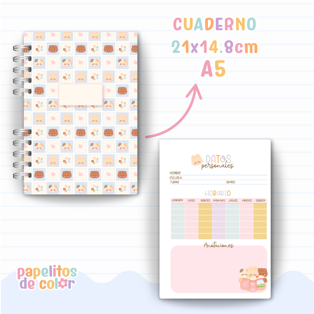 🎀 Combo Cami 📚
