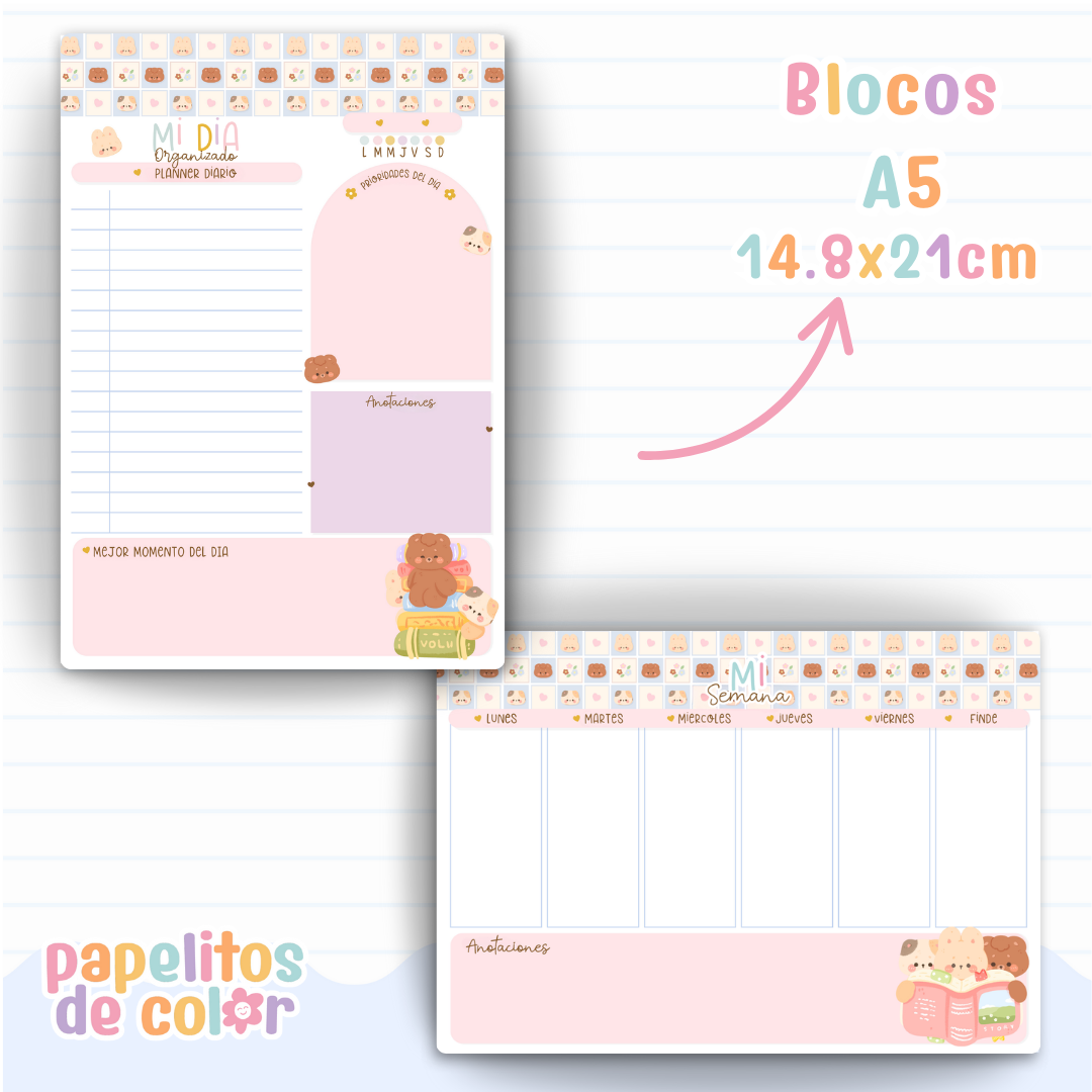 🎀 Combo Cami 📚