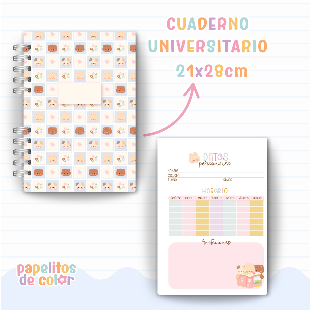 🎀 Combo Cami 📚