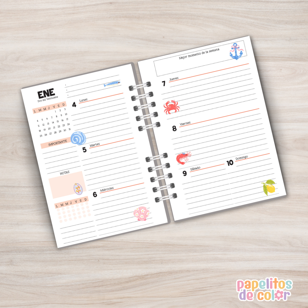 Agenda Semanal Marina 2027 🌊🐚